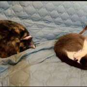 ヒメ日記 2026/02/28 01:52 投稿 りこ Hip's千葉駅前店