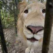 ヒメ日記 2026/03/20 23:52 投稿 りこ Hip's千葉駅前店