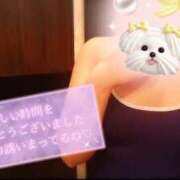 ヒメ日記 2026/04/02 14:22 投稿 りこ Hip's千葉駅前店