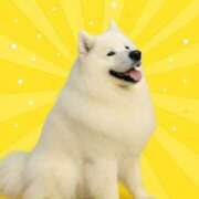 ヒメ日記 2026/04/08 10:42 投稿 りこ Hip's千葉駅前店