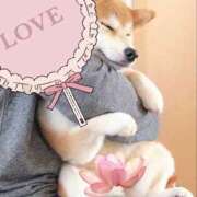 ヒメ日記 2026/04/12 00:22 投稿 りこ Hip's千葉駅前店