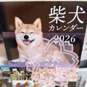 ヒメ日記 2026/04/12 00:52 投稿 りこ Hip's千葉駅前店