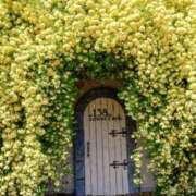 ヒメ日記 2026/04/17 10:22 投稿 りこ Hip's千葉駅前店