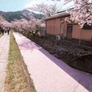 ヒメ日記 2026/04/17 16:42 投稿 りこ Hip's千葉駅前店