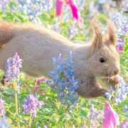 ヒメ日記 2026/04/22 09:02 投稿 りこ Hip's千葉駅前店