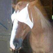 ヒメ日記 2026/04/24 15:22 投稿 りこ Hip's千葉駅前店