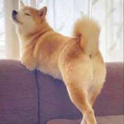 ヒメ日記 2026/04/26 22:02 投稿 りこ Hip's千葉駅前店