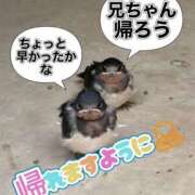ヒメ日記 2026/06/06 00:29 投稿 りこ Hip's千葉駅前店