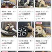 ヒメ日記 2026/07/30 20:13 投稿 りこ Hip's千葉駅前店