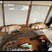 ヒメ日記 2026/09/09 23:02 投稿 りこ Hip's千葉駅前店