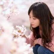 ヒメ日記 2026/04/08 11:33 投稿 みほ（神ご奉仕×現役ナース！ ハニービー（Honey Bee）