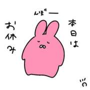 ヒメ日記 2025/12/03 07:44 投稿 うさぎ 即アポ奥さん～浜松店～
