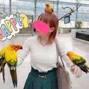 ヒメ日記 2025/12/19 09:44 投稿 うさぎ 即アポ奥さん～浜松店～