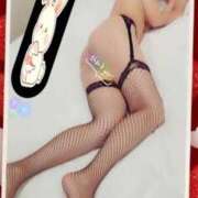 ヒメ日記 2025/12/26 12:34 投稿 うさぎ 即アポ奥さん～浜松店～