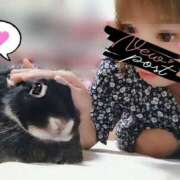 ヒメ日記 2026/01/30 07:04 投稿 うさぎ 即アポ奥さん～浜松店～