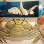 ヒメ日記 2026/02/19 23:34 投稿 うさぎ 即アポ奥さん～浜松店～