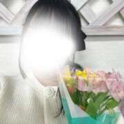 ヒメ日記 2026/03/17 00:43 投稿 ももか 紳士の嗜み 立川