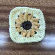 ヒメ日記 2025/12/02 21:35 投稿 おと パイの巣