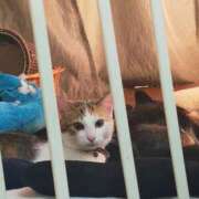 なな まったり日 Secret　select