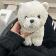 ヒメ日記 2026/01/25 16:06 投稿 みう【男を魅了するクビレ】 STELLA TOKYO－ステラトウキョウ－