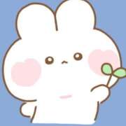 ヒメ日記 2026/03/08 08:53 投稿 みう【男を魅了するクビレ】 STELLA TOKYO－ステラトウキョウ－