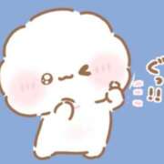 ヒメ日記 2026/04/21 23:54 投稿 みう【男を魅了するクビレ】 STELLA TOKYO－ステラトウキョウ－