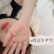 ヒメ日記 2025/12/12 16:27 投稿 しいな サクラ（すすきの）