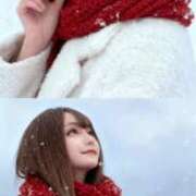 ヒメ日記 2025/12/14 17:54 投稿 はなび アラカルト