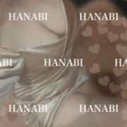 ヒメ日記 2025/12/29 14:46 投稿 はなび アラカルト