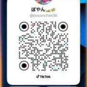 ヒメ日記 2026/04/17 19:32 投稿 はなび アラカルト