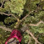 高野 こんばんは〜♡ 熟女の風俗最終章 新横浜店