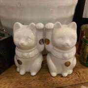 ヒメ日記 2025/12/19 19:56 投稿 高野 熟女の風俗最終章 新横浜店