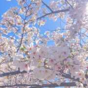 ヒメ日記 2026/04/13 13:48 投稿 高野 熟女の風俗最終章 新横浜店