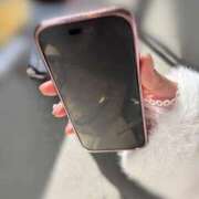 ヒメ日記 2026/02/18 17:15 投稿 なつ あふたーすくーる本店