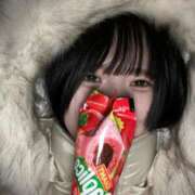 ヒメ日記 2026/01/09 05:12 投稿 このみ JAPAN CLUB BUNNY LOUNGE