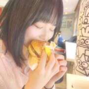 ヒメ日記 2026/01/31 17:19 投稿 このみ JAPAN CLUB BUNNY LOUNGE