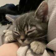 ヒメ日記 2026/02/05 10:18 投稿 このみ JAPAN CLUB BUNNY LOUNGE