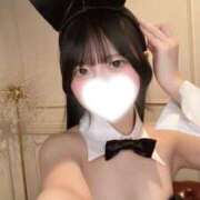 ヒメ日記 2026/02/26 19:11 投稿 このみ JAPAN CLUB BUNNY LOUNGE