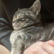 ヒメ日記 2026/02/28 10:31 投稿 このみ JAPAN CLUB BUNNY LOUNGE