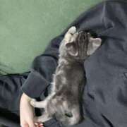 ヒメ日記 2026/03/03 08:13 投稿 このみ JAPAN CLUB BUNNY LOUNGE