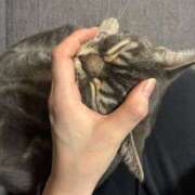 ヒメ日記 2026/04/05 17:51 投稿 このみ JAPAN CLUB BUNNY LOUNGE