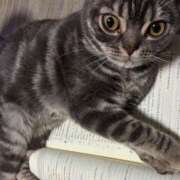 ヒメ日記 2026/04/06 10:25 投稿 このみ JAPAN CLUB BUNNY LOUNGE