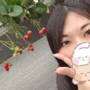 ヒメ日記 2026/04/29 11:31 投稿 ゆず Ace(エース)