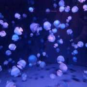 ヒメ日記 2025/12/12 00:43 投稿 井沢　ありす ギン妻パラダイス 谷九店