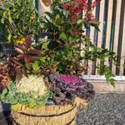 ヒメ日記 2026/01/01 23:49 投稿 井沢　ありす ギン妻パラダイス 谷九店