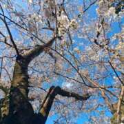 ヒメ日記 2026/04/02 20:16 投稿 井沢　ありす ギン妻パラダイス 谷九店