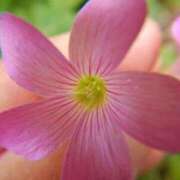 Mirei【みれい】 ありがとうございましたっ Club Lumine(中津)