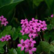 Mirei【みれい】 ありがとうございましたっ Club Lumine(中津)