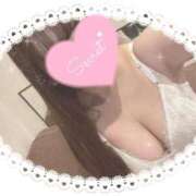 みなみ きょうのぶん♡ CECIL