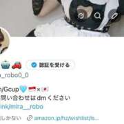 ヒメ日記 2026/05/15 03:26 投稿 ミラ ロボットデリヘル五反田基地